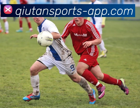 多媒体互动体验